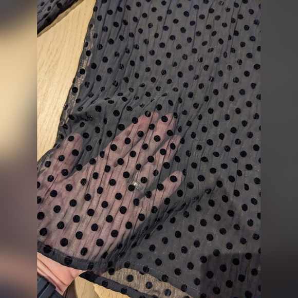 Zara Sheer Polkadot Mock Neck Shirt. Size small. - Picture 2 of 5